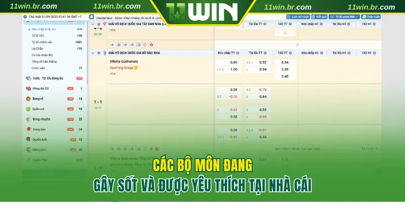 Thể Thao 11WIN 3 Các bộ môn đang gây sốt và được yêu thích tại nhà cái