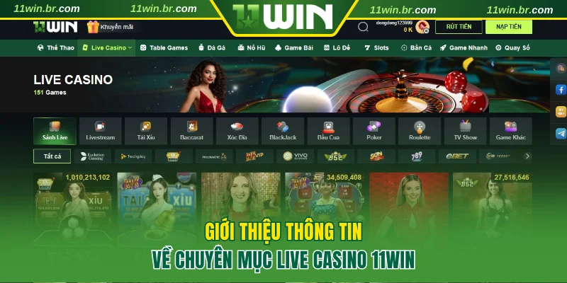 Sơ lược về chuyên mục casino 11WIN