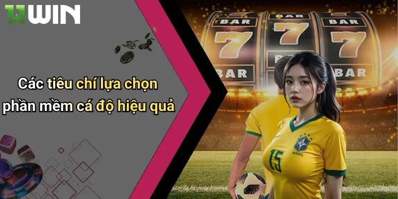 Các tiêu chí lựa chọn phần mềm cá độ hiệu quả